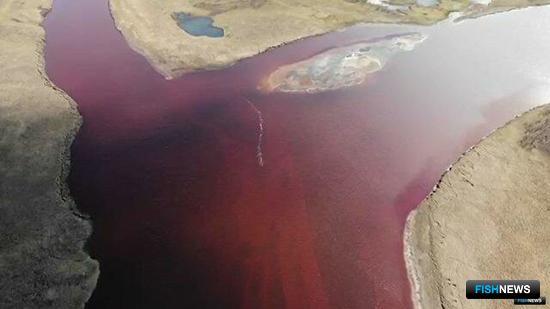 «Норникелю» пересчитали сумму ущерба «Норникелю» пересчитали сумму ущерба