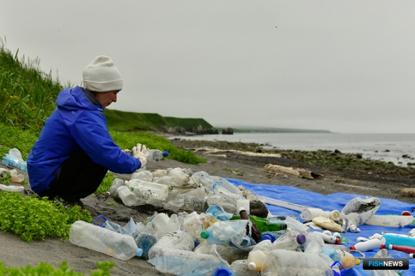 На войну с морским мусором призвали нейросеть