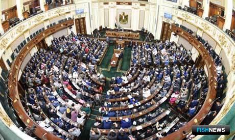 Египет станет строже следить за своими рыбными богатствами