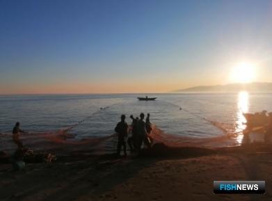 Запасы омуля в Байкале мониторит наука