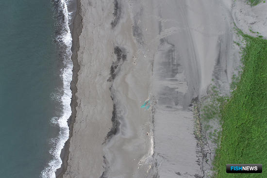 На войну с морским мусором призвали нейросеть