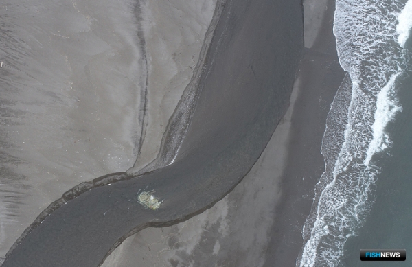 На войну с морским мусором призвали нейросеть