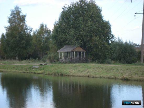 В сливе пруда заподозрили организаторов рыбалки