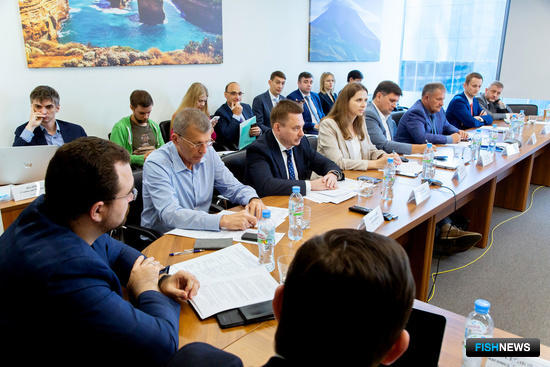 Минпромторг поддерживает снятие лишних ограничений по инвестквотам