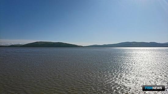 Для лососевой рыбалки на Амуре установили дополнительные требования Для лососевой рыбалки на Амуре установили дополнительные требования