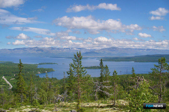 Воды Заполярья предлагают под аквафермы