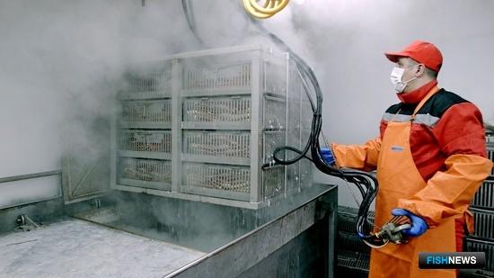 «Русский краб» по вкусу покупателям в разных странах «Русский краб» по вкусу покупателям в разных странах