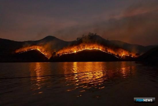 Суд разберется с «зажигательной» рыбалкой в Якутии Суд разберется с «зажигательной» рыбалкой в Якутии