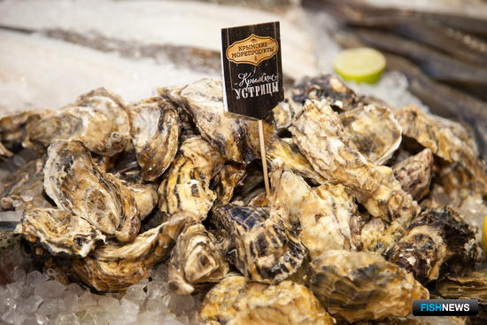 Россия ловит и выращивает все больше устрицы Россия ловит и выращивает все больше устрицы