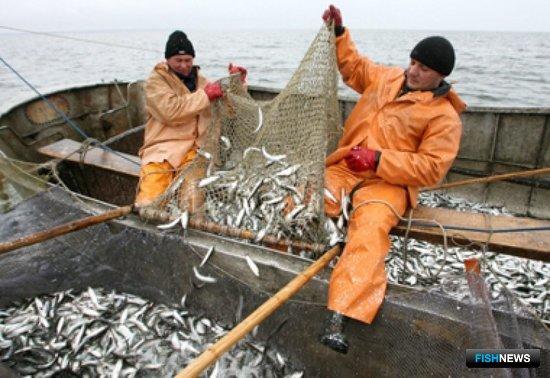 Для промысла в Азовском море планируют ввести ограничения