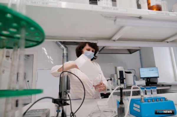 Штраф &laquo;Норникеля&raquo; частично пойдет на таймырскую экологию