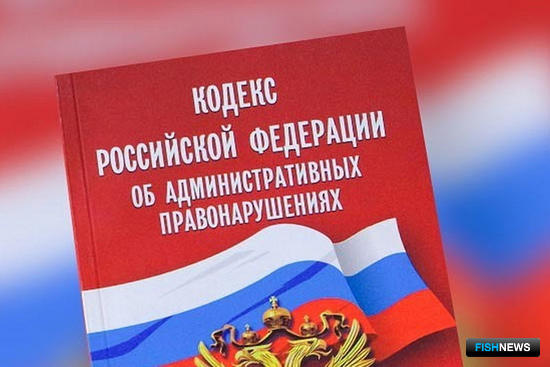 В Ленобласти за незаконные заборы на берегу наказывают рублем