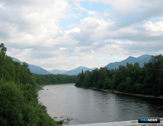 Байкал защитят новыми очистными сооружениями Байкал защитят новыми очистными сооружениями