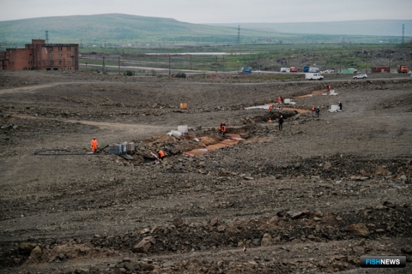 Штраф &laquo;Норникеля&raquo; частично пойдет на таймырскую экологию