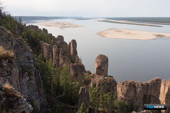 На реке Лене готовятся построить рыбоводный завод