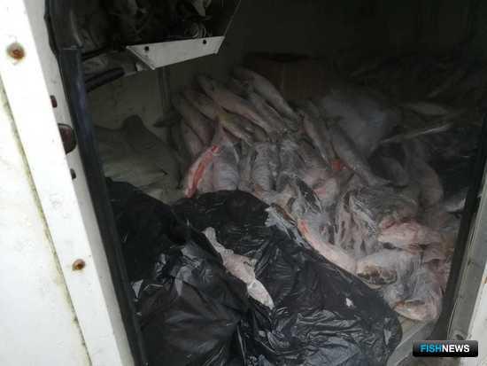 Браконьеров приморского села навестили силовики Браконьеров приморского села навестили силовики