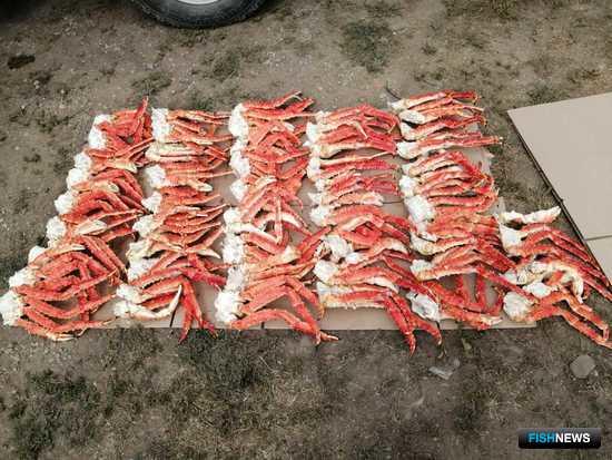 Браконьеров приморского села навестили силовики Браконьеров приморского села навестили силовики