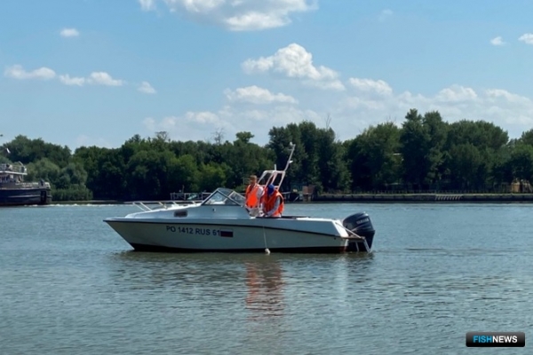 Воду Нижнего Дона исследуют на пригодность для рыбы
