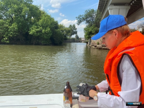 Воду Нижнего Дона исследуют на пригодность для рыбы