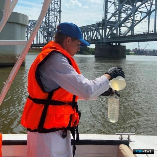 Воду Нижнего Дона исследуют на пригодность для рыбы