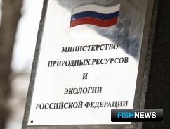 Для экономики замкнутого цикла хотят подготовить отдельный закон Для экономики замкнутого цикла хотят подготовить отдельный закон