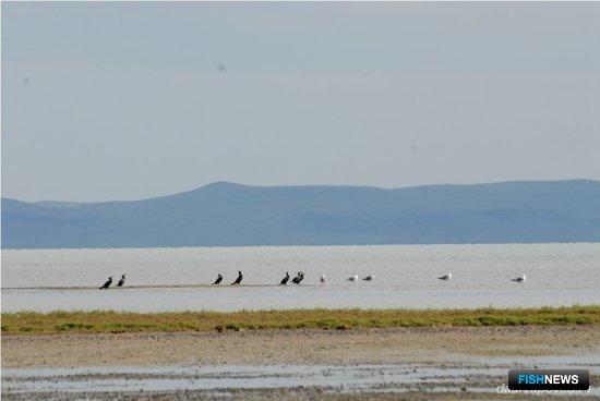 Россия оценит вред своим озерам от монгольской плотины Россия оценит вред своим озерам от монгольской плотины