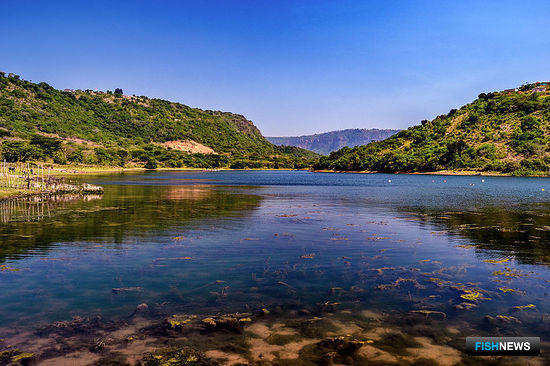 ЮАР решила взяться за рыболовство во внутренних водах