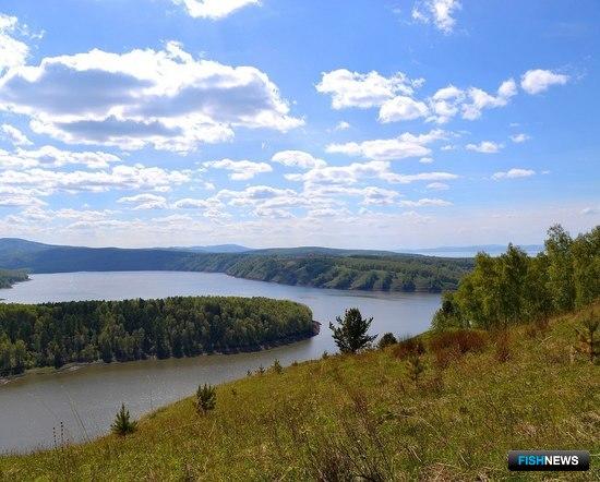 Промысловики смогут поторговаться за енисейские квоты