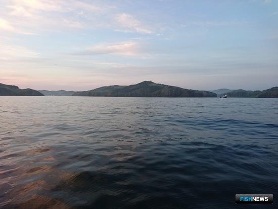 Курильскую ТОР расширяют для рыбозавода