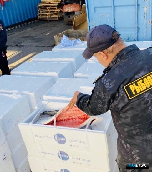 &laquo;Беспаспортный&raquo; лосось приехал в столицу из Белоруссии