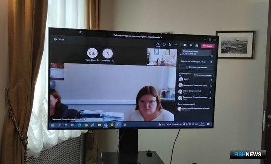 ВАРПЭ и Минсельхоз обсудили проект ветеринарных правил ВАРПЭ и Минсельхоз обсудили проект ветеринарных правил