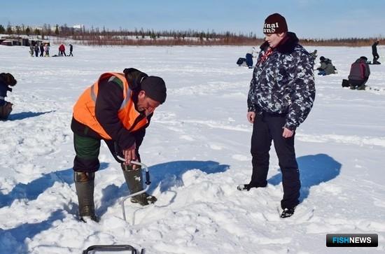 Рыбное озеро при Уренгойской ГРЭС предлагают под аквакультуру