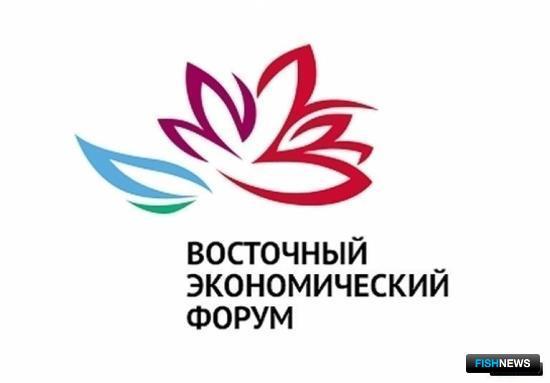 На ВЭФ могут поддержать меры по снижению нагрузки на инвесторов На ВЭФ могут поддержать меры по снижению нагрузки на инвесторов
