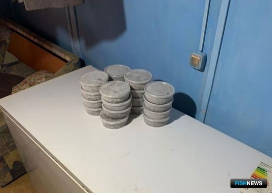 В доме наркомана нашли «краснокнижный» деликатес В доме наркомана нашли «краснокнижный» деликатес