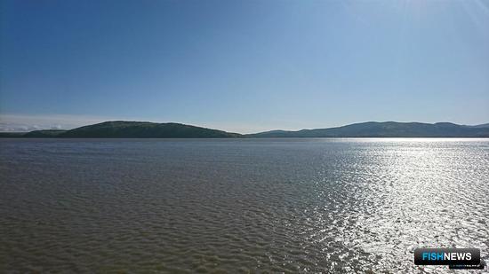 Путина на Амуре взяла неплохой старт Путина на Амуре взяла неплохой старт