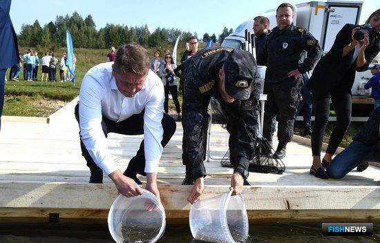 Тверскую область решили усерднее зарыблять Тверскую область решили усерднее зарыблять