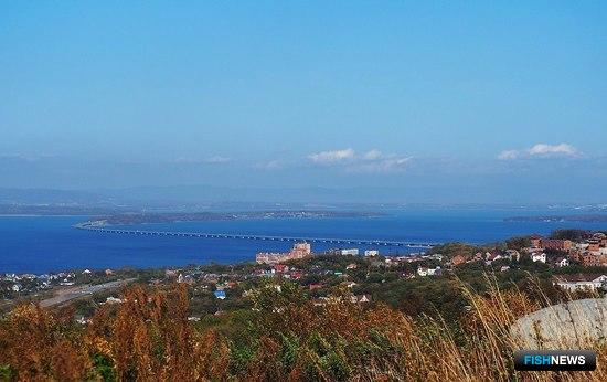 Прибрежье Владивостока предлагают под мариферму