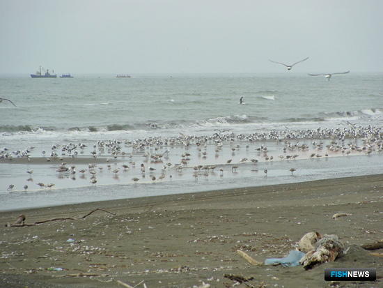 Рекам Камчатки пообещали защиту от старателей