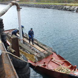 Сахалинская область надеется выбрать объемы кеты