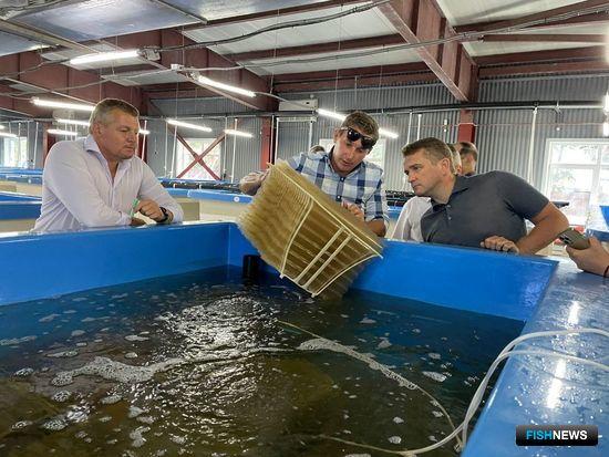 Ученые Приморья разработали инновации для марифермеров Ученые Приморья разработали инновации для марифермеров