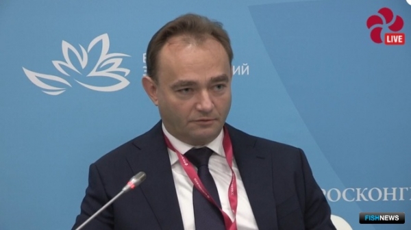 Малому бизнесу предлагают инструменты для выживания