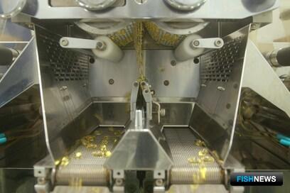 О программе оздоровления детей на Камчатке рассказали президенту