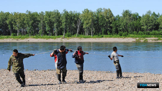 На Колыме изменили сроки закрытия лососевой путины