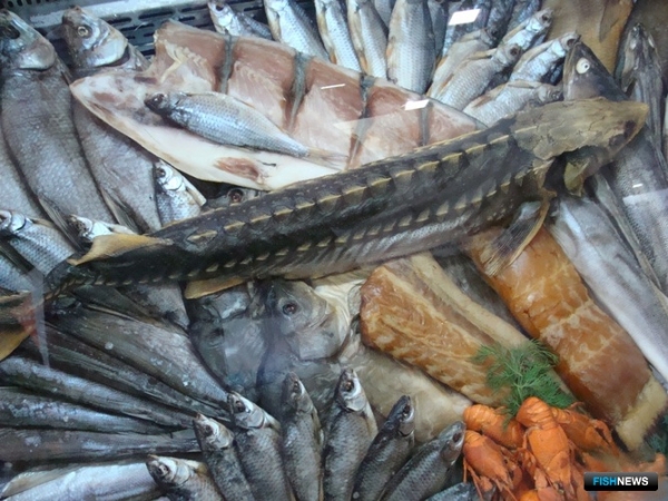 С возвращением: рыбопромышленный форум и выставка снова встречают гостей