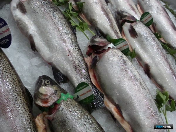 Регулятор продолжил диалог с рыбаками на выставке