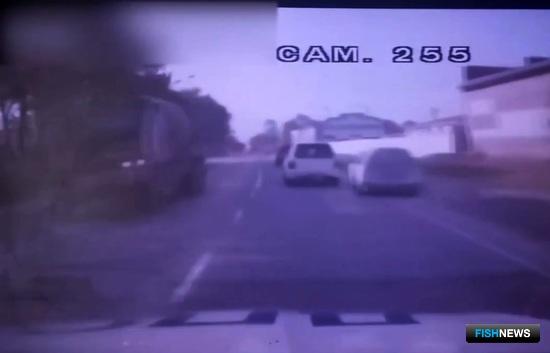 Перевозчик браконьерской икры не ушел от погони