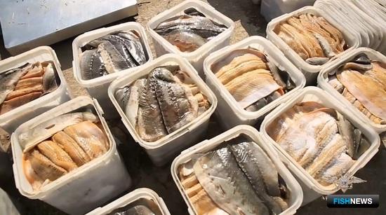 Силовики Якутии взяли группу охотников за ценной рыбой