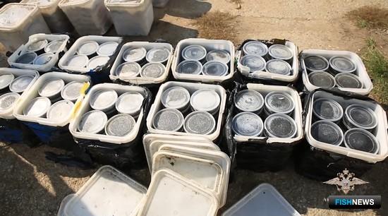 Силовики Якутии взяли группу охотников за ценной рыбой