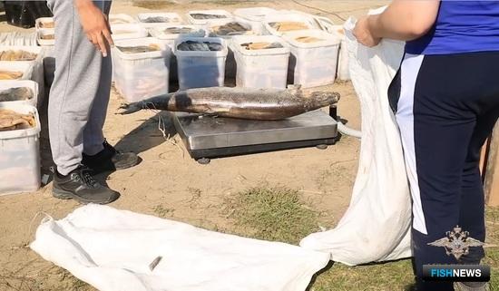 Силовики Якутии взяли группу охотников за ценной рыбой
