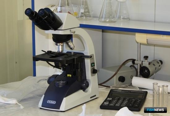 Рыбе готовят новые правила ветеринарно-санитарной экспертизы